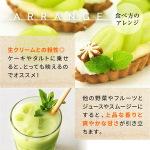 熊本県産 シャインマスカット 約6kg 『 かめまる食堂 』 種無し ぶどう