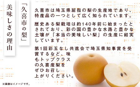 梨 にっこり 約3kg 6玉～12玉 梨