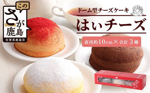 
【発送月を選べる】ふわふわのドーム型ケーキ「はいチーズ」3種セット チーズケーキ お祝い パーティ 年始 年賀 大晦日 年末 贈り物 プレゼント 贈答 スフレ チョコケーキ イチゴケーキ 3種 セット プレーン B-308
