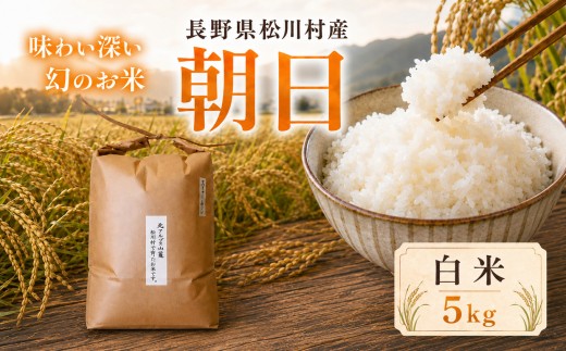 幻のお米 朝日 あさひ 白米 5kg 自然栽培 天日干し 稀少 在来種 農薬 肥料 除草剤 未使用 | 米 お米 玄米 米 コメ 古代米 自然栽培米 長野県 松川村 信州 安曇野