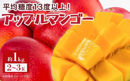 【2025年7月下旬より発送】【先行予約】平均糖度13度以上！アップルマンゴー約1kg（2~3玉）| マンゴー 果物 マンゴー フルーツ アップルマンゴー 人気 1kg マンゴー おすすめ 
