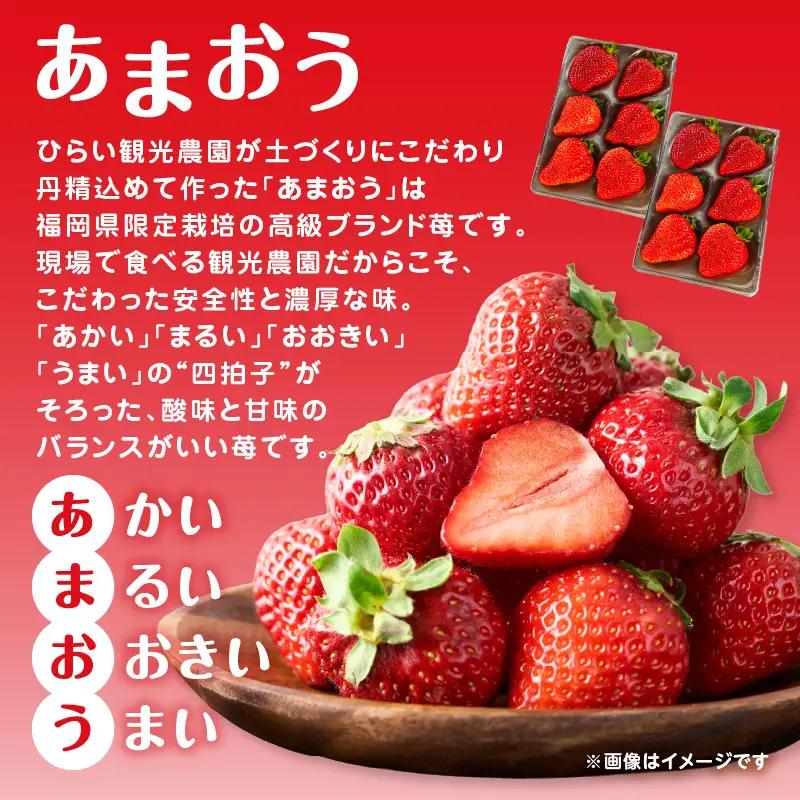 こだわりあまおう 250g×2パック（合計500g）｜2026年12月～順次発送＜ひらい観光農園＞ いちご イチゴ 苺 065-012