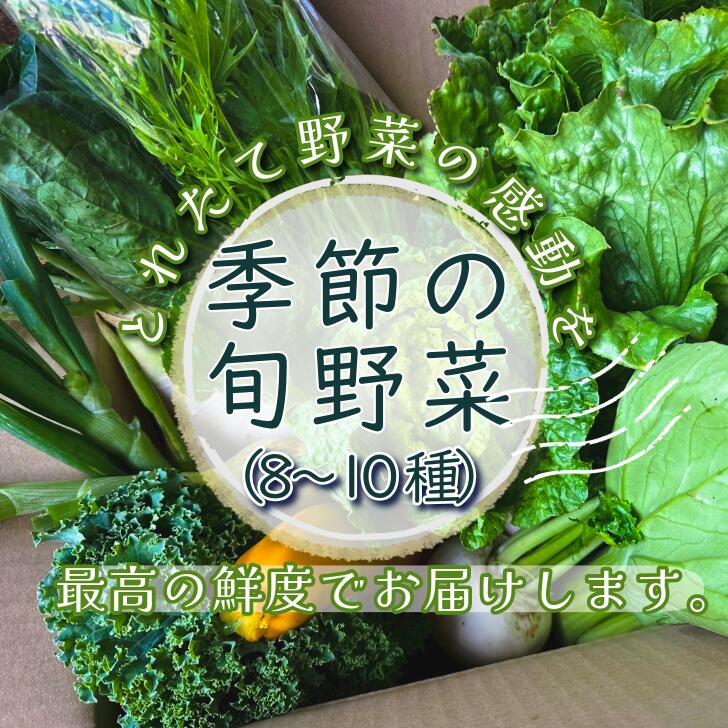 【ふるさと納税】≪季節の採れたて旬野菜詰め合わせ8~10品／1箱 ≫ 動物性たい肥・自家製ボカシ肥・地域に棲みついている多種多様な土着菌を用い、生き物(微生物)たちからの恩恵を最大限活かした自然循環の中で、滋味に富む野菜を育てています。【長野県 信濃町 みつぶ農園】