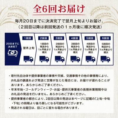 ふるさと納税 国頭村 【毎月定期便】オリオン ザ・プレミアム(350ml×24本)全6回 |  | 02