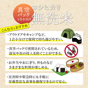 無洗米コシヒカリ 10パック【 無洗米 真空パック 小分け 個包装 コシヒカリ こしひかり 無洗 お米 米 ふるさと無洗米 洗わず 農家直送 アウトドア キャンプ 備蓄用 備蓄米 非常食 丹波 綾部 