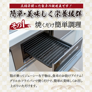 元漁師が手掛ける厳選干物 8種 ／ 干物【B006】