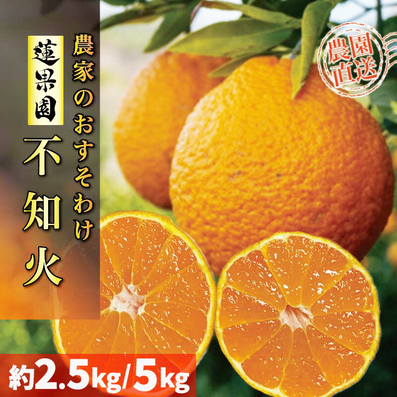 【ふるさと納税】 【先行予約】 【2026年2月下旬から発送予定】 不知火（デコポンと同一品種） B品 訳あり 家庭用 約2.5kg または 約5kg |蜜柑 柑橘 みかん 果物 くだもの フルーツ おすすめ 高級 人気 お取り寄せ グルメ ギフト 期間限定 数量限定 ご当地 愛媛県 松山市