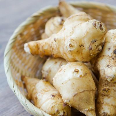 ふるさと納税 小国町 【阿蘇小国産】地熱乾燥菊芋3点セット(チップス・三年番茶・パウダー) |  | 01