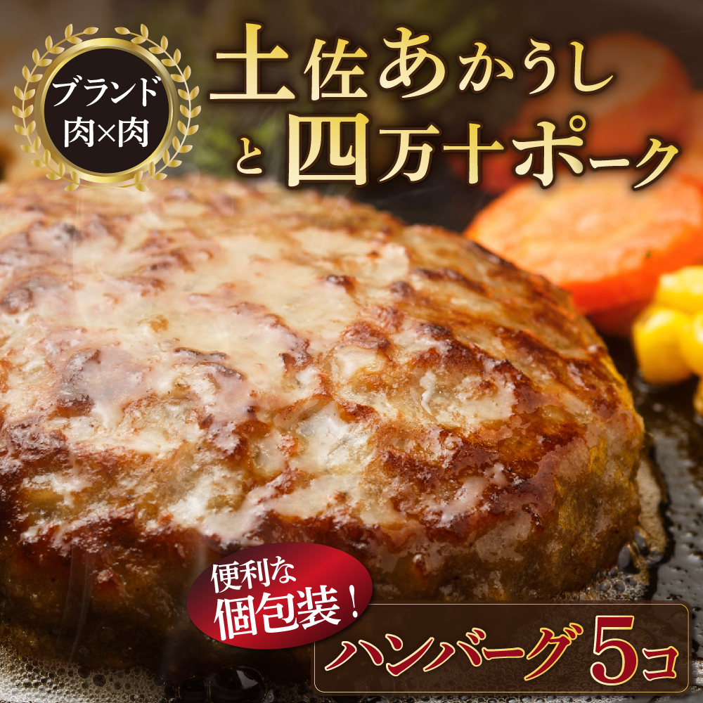 温めるだけ！土佐あかうしと四万十ポークのハンバーグ　５個セット