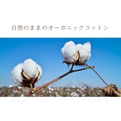 ふるさと納税 阪南市 敷きパッド 無添加 無漂白 オーガニックコットン フランネル セミダブルサイズ オールシーズン |  | 01