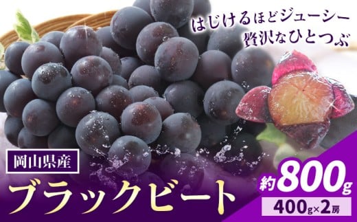【先行予約】岡山県産 ぶどう ブラックビート 計 800g 2房 株式会社 はちや《8月上旬-9月上旬頃出荷》岡山 国産 葡萄 フルーツ 果物 岡山県 浅口市 フルーツ 果物【配送不可地域あり】
