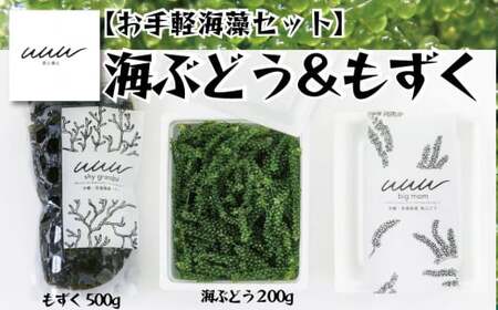 【お手軽沖縄海藻セット】海ぶどう（200g）ともずく（500g）【2026年4月より順次発送】