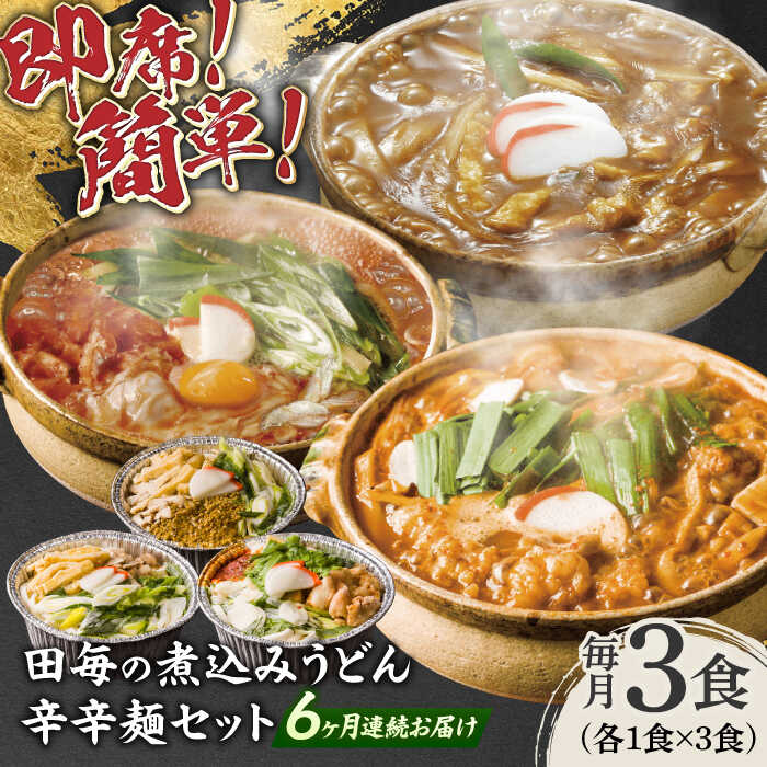 【ふるさと納税】【6回定期便】うどん 岐阜の味 田毎の煮込みうどん辛辛麺セット 即席 カンタン 麺 うどん カレーうどん ピリ辛味噌煮込みうどん ピリ辛 煮込みうどん 激辛 旨辛 冷凍 定期便 詰め合わせ 食べ比べ 老舗の味 名店 ギフト 人気 岐阜市 / ラボレムス[ANFP013]