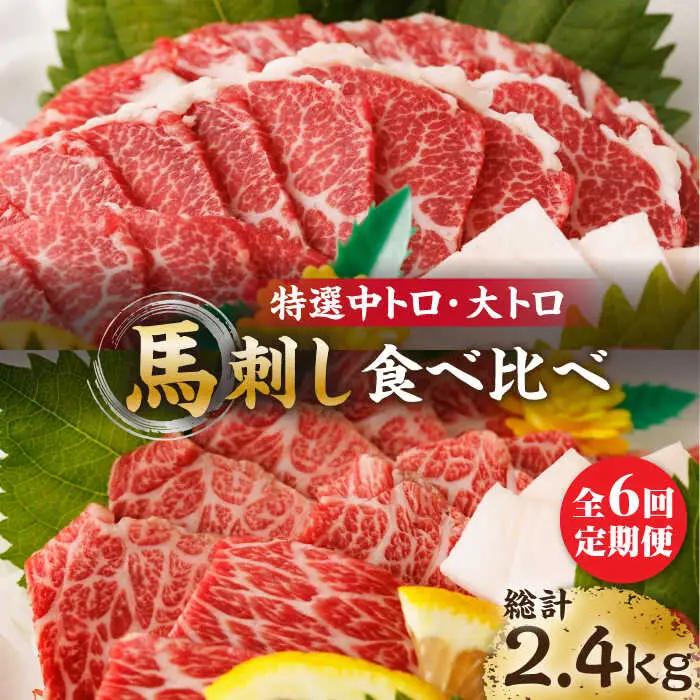 【6回定期便】特選霜降り馬刺し 中トロ大トロ2種食べ比べセット 計400g（各2pc）【馬刺しの郷 民守】2種馬刺しセット 中トロ 大トロ 熊本 霜降り 特選 [ZBL079]