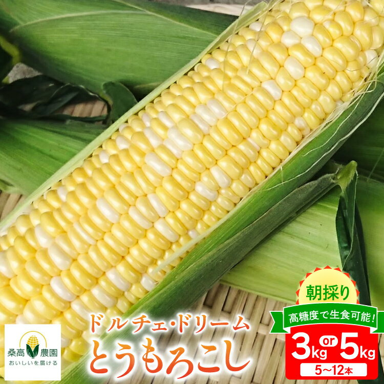 【ふるさと納税】【期間限定発送】夢のような美味しさ！生食可能 高糖度 とうもろこし ドルチェ・ドリーム 3kg or 5kg [桑高農園 静岡県 吉田町 22424527] トウモロコシ コーン スイートコーン