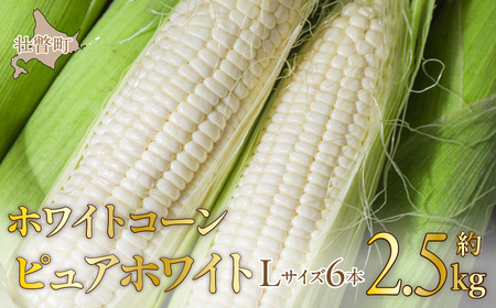 ＜2025年8月中旬よりお届け＞【朝採り】北海道壮瞥町産　ホワイトコーン「ピュアホワイト」Lサイズ以上6本（約2.5kg）【 ふるさと納税 人気 おすすめ ランキング ホワイトコーン ピュアホワイト 白い 白 トウモロコシ とうもろこし 野菜 甘い 北海道 壮瞥町 送料無料 】 SBTQ004