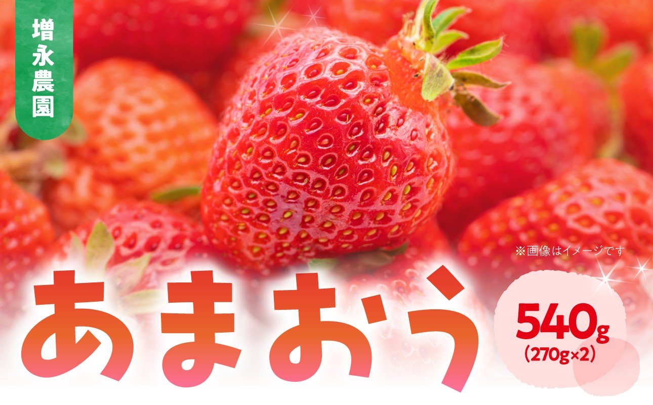
                  【増永農園】 あまおう 270g×2パック 【2026年1月より順次発送】 ジューシー フレッシュ 苺 スイーツ作り イチゴ 美味しい いちご 福岡県 八女市
                