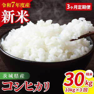 【先行予約】【3ヶ月定期便】令和7年産 茨城県産コシヒカリ　精米　10kg（5kg×2）【お米 米 こしひかり ごはん 茨城県】（85-24）