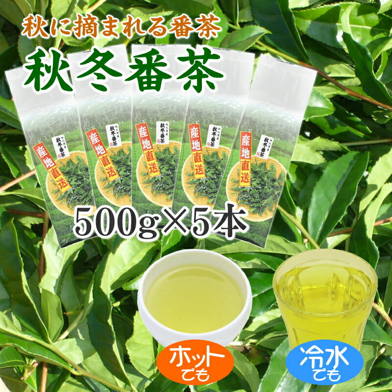 【ふるさと納税】 秋冬番茶 500g×5本 お茶 緑茶 日本茶 深蒸し茶 静岡茶 健康茶 リラックス 茶葉 ティータイム おいしい 香り 渋み うまみ 贈り物 ギフト プレゼント おうち時間 冷茶 温茶 保存 静岡茶 牧之原茶 牧之原市 静岡県