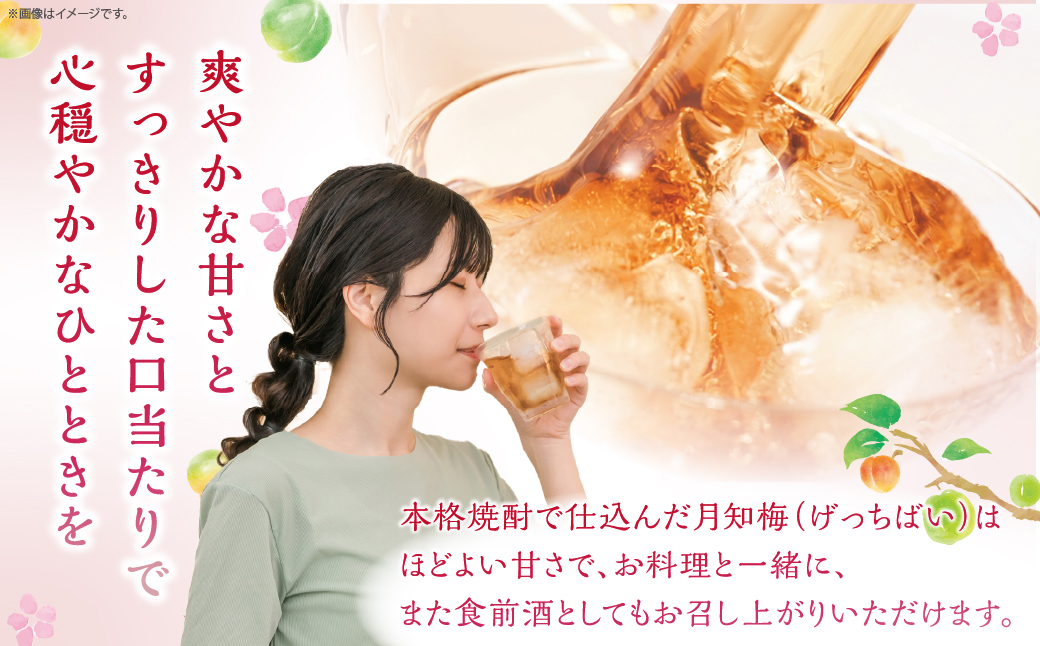 【雲海酒造】国産梅100%使用 本格梅酒「月知梅」720ml×3本_A0087-011