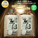 【ふるさと納税】令和6年産 定期便 魚沼産コシヒカリ 白米 5kg2袋 6回 隔月 お届け 米 お米 精米 ブランド米 魚沼産こしひかり コシヒカリ おいしい 美味しい おすすめ 人気 米萬商店 新潟県 小千谷市 K151P310