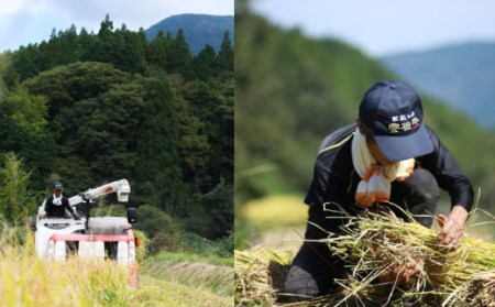 【6ヶ月定期便】さとうファーム 麹のあまざけ 計3.6L (900ml×4本) × 6回 ノンアルコール 麹 甘酒