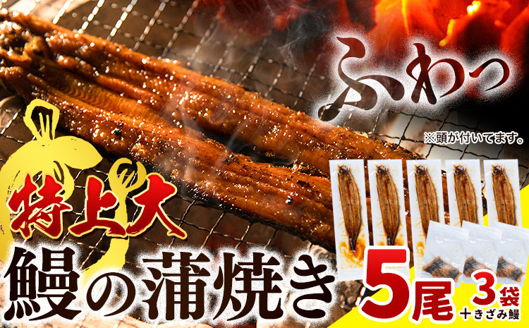 
            ＜ スピード出荷 ！＞ うなぎ蒲焼 国産 特上大 1尾あたり約190g以上 × 5尾 きざみうなぎ 30g × 3袋 付き《3-7営業日以内に出荷予定(土日祝除く)》 うなぎ 国産 うなぎ きざみ うなぎ蒲焼 国産 鰻 うなぎおこわ うなぎ蒲焼 国産 5尾 うなぎ国産冷凍 鰻 超特大
          