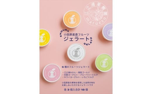 
                  小田原産江之浦ジェラート６種（みかん、湘南ゴールド、ブルーベリーミルク、いちごミルク、キウイヨーグルト、甘夏ヨーグルト）120mlカップ各３個合計１８個｜スイーツ ジェラート セット 人気 おすすめ アイス デザート フルーツ 詰め合わせ 冷凍 ギフト 送料無料 神奈川県 小田原市
                