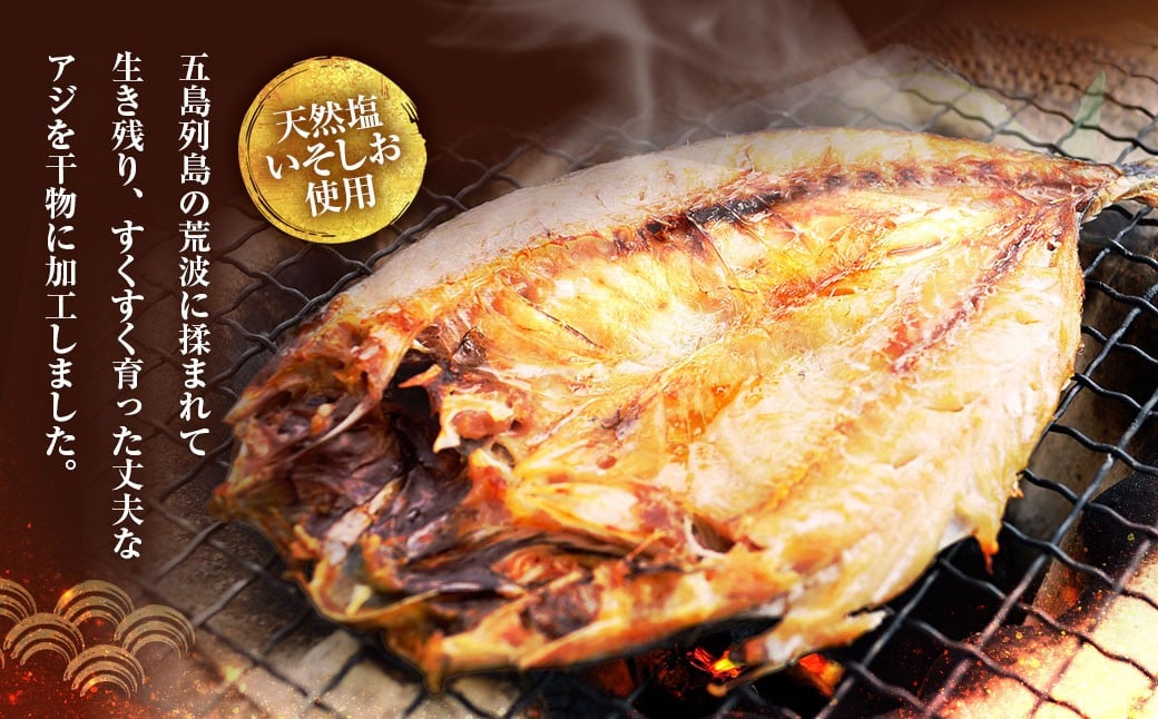 真アジ一夜干し 21尾 ／ 海鮮 魚介 干物 ひもの あじ 鯵 アジ 長崎県 長崎市