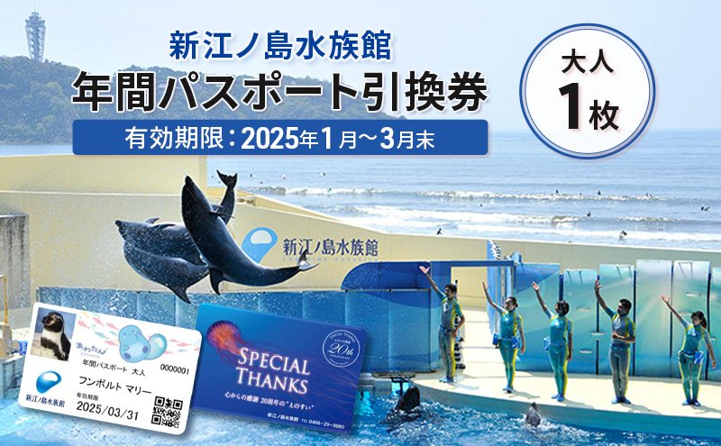 チケット 神奈川 【新江ノ島水族館】年間パスポート引換券(大人1枚) 有効期間2025年1月～3月末まで 水族館 パスポート 入場券 江ノ島 藤沢市 神奈川県 プレゼント ギフト