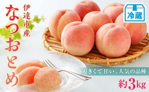 
                  【2026年出荷分先行予約】<冷蔵配送>福島県産 なつおとめ 約3kg (9～16玉) 有限会社伊達水蜜園 新品種 大玉 伊達の桃 桃 フルーツ 果物 もも モモ momo F21C-254
                