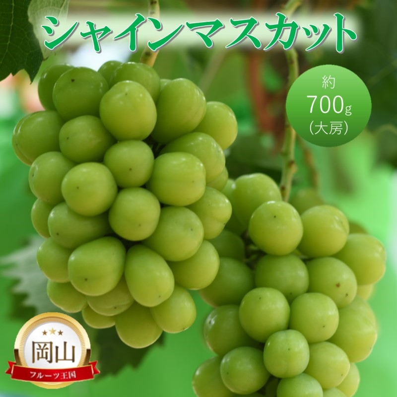 
            [№5615-0752]高梁市産 シャインマスカット 大房 (約700g) ぶどう ブドウ 葡萄 果物 フルーツ
          