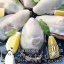 【ふるさと納税】牡蠣 生食 坂越かき 殻付き 50個(牡蠣ナイフ・軍手付き)サムライオイスター 生牡蠣 冬牡蠣　魚貝類・生牡蠣・かき　お届け：2024年12月中旬～2025年4月下旬