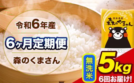 令和6年産 森のくまさん 【6ヶ月定期便】 無洗米 《お申し込み月の翌月から出荷開始》 5kg (5kg×1袋) 計6回お届け 熊本県産 単一原料米 森くま 熊本県 玉東町