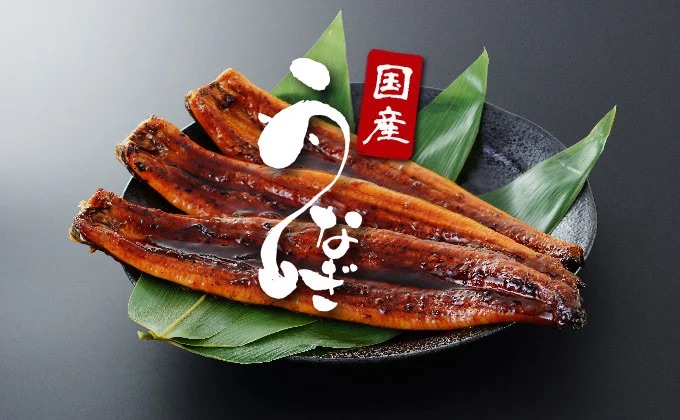 ＜2026年7月配送＞うなぎ蒲焼き 800g (200g×4尾) 冷蔵 2026年7月配送