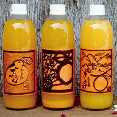 【ふるさと納税】ホリ田ヤ 島みかんジュース 飲みくらべ 3種セット 500ml 6本〜12セット 愛媛 オレンジジュース みかん ジュース フルーツジュース 無添加 果汁100% ストレート【VB01220】
