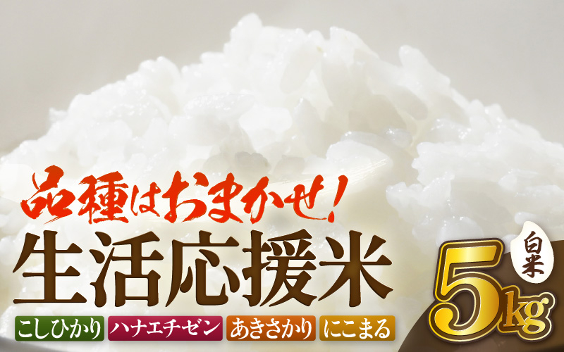 【先行予約】令和8年産 生活応援米 5kg 福井県越前町産 【白米】【お米 コメ kome 5キロ 家庭用 白米】【2026年10月中旬以降順次発送】 [e81-a004_01]