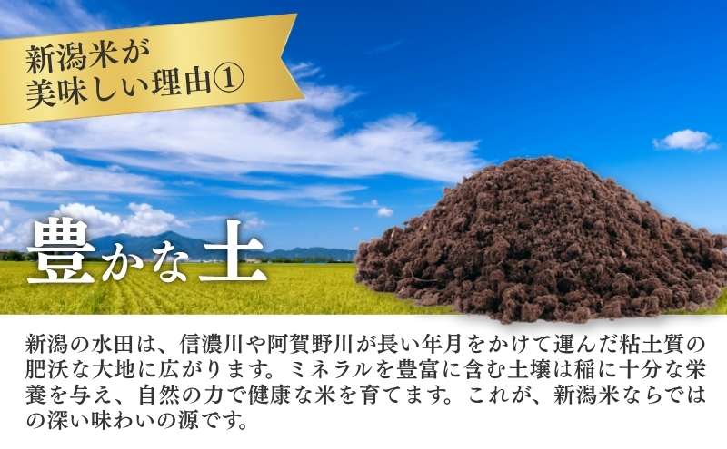 R7年産米 新潟産コシヒカリ5kg