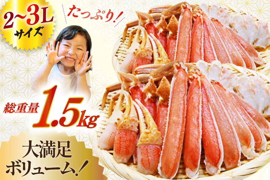 【2025 年内配送】 カット済 生 ずわいがに むき身 セット 総重量 1.5kg (正味重量1.2kg) 2-3Lサイズ [カネダイ 宮城県 気仙沼市 20565690] かに カニ ズワイガニ ずわい ズワイ 蟹 棒肉 ポーション かに鍋 かにしゃぶ 生ずわい
