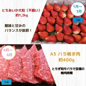 【定期便4回】真岡の グルメ 定期便 | 数量限定 いちご 苺 米 お米 簡単 プレゼント お土産 餃子 ぎょうざ ビック こしひかり 肉 お肉 サーロイン 焼肉 バラ A5 ランク 豪華 贅沢 栃木