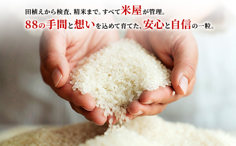 あいちのかおり 5kg 定期便6回 計30kg 富士山の麓で育てた 米 お米 白米 精米 ブランド米 産地直送 静岡 静岡県 裾野 裾野市