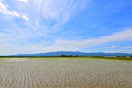 【定期便3回】北海道奈井江町　ななつぼし　5kg