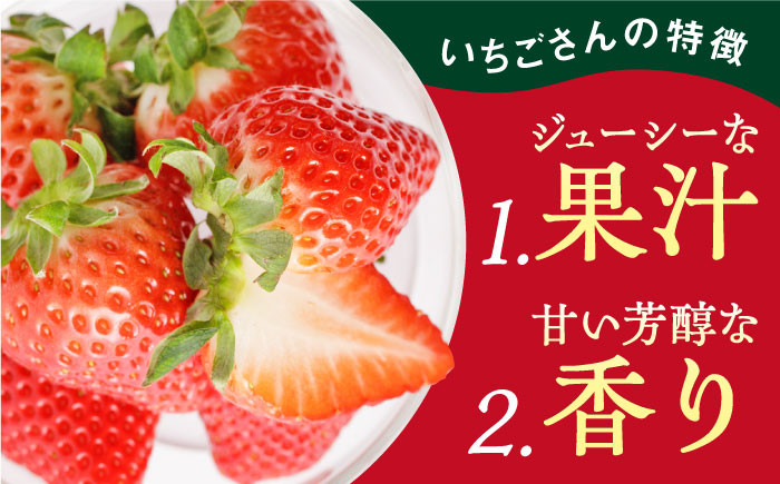 華やかでやさしい甘さの「いちごさん」を2月3月にお届け！