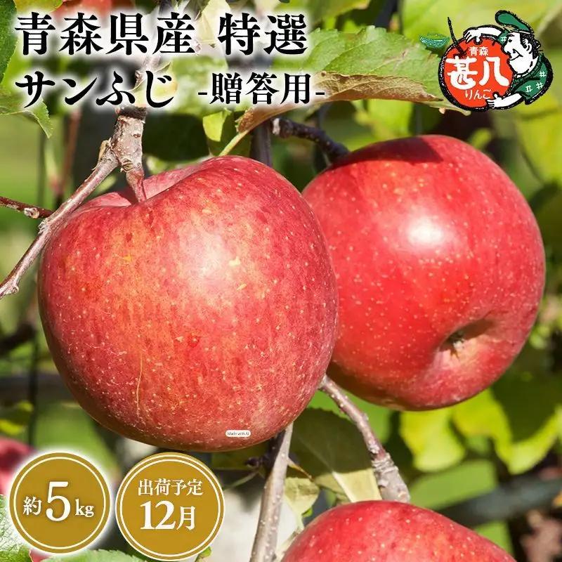 りんご 特選 サンふじ5kg りんご