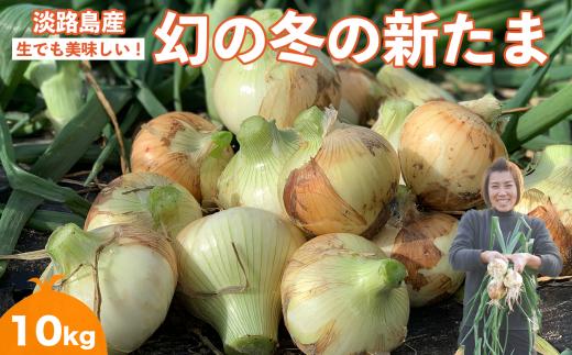 【野口ファーム】幻の冬の新たまねぎ 10kg　約30個入　◆配送12月〜