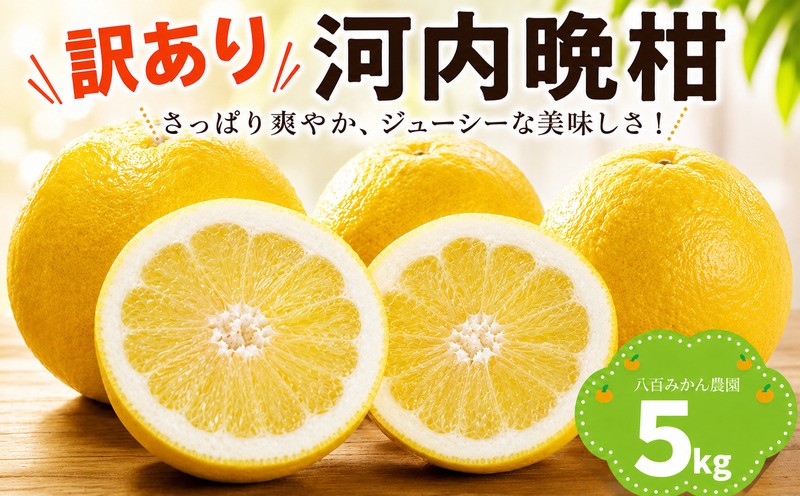 
                  【先行予約：2027年4月上旬～発送】 訳あり 河内晩柑 5kg  八百みかん農園 の かわちばんかん 7000円 家庭用 5kg 先行 事前 予約 受付 みかん 愛南ゴールド 美生柑 文旦 グレープフルーツ 和製 防腐剤不使用 愛媛 産地直送 国産 農家直送 糖度 果樹園 期間限定 数量限定 特産品 ジュース 人気 限定 愛南  新鮮 さわやか 甘い フルーツ 果物 柑橘 蜜柑
                