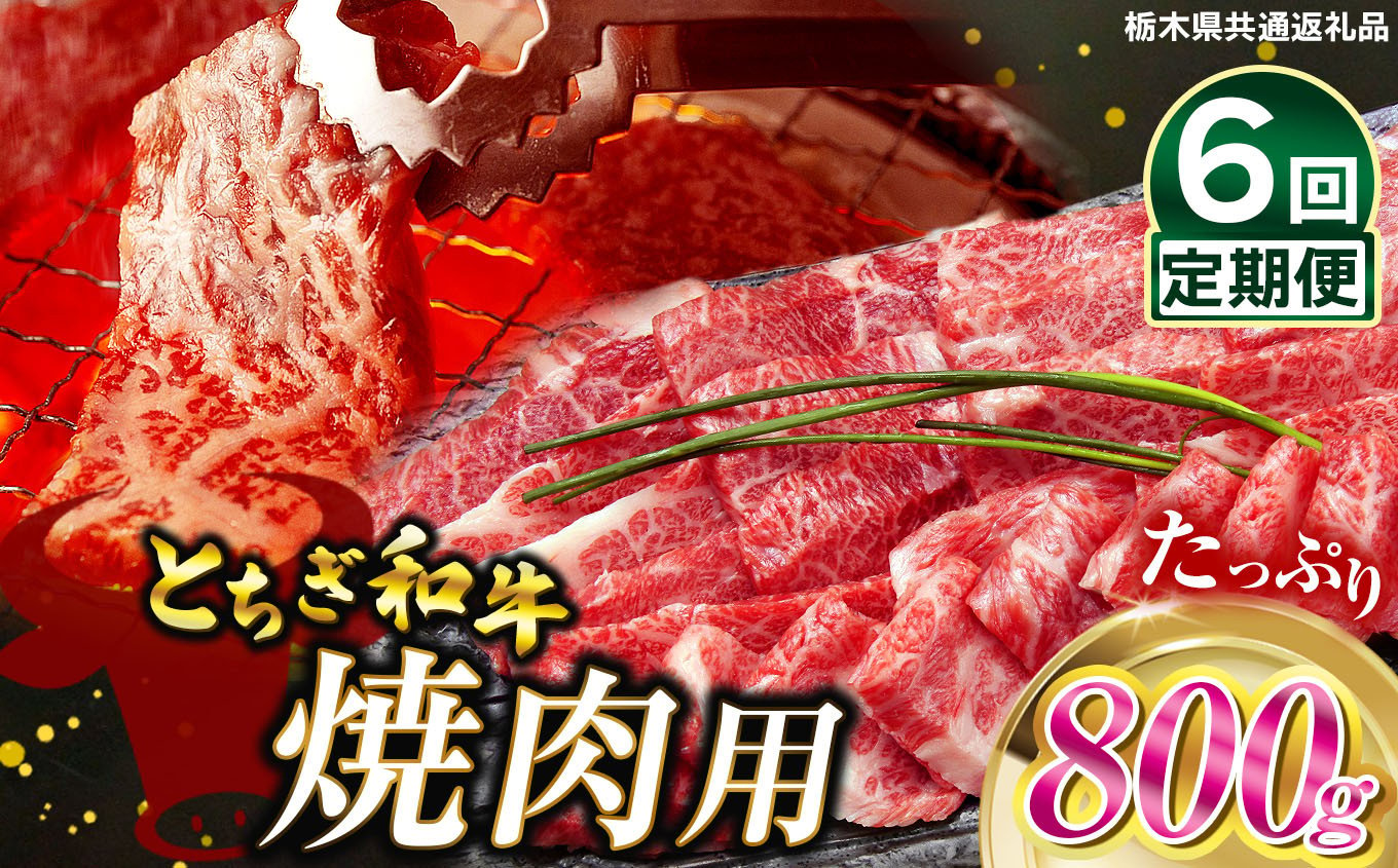 
            【定期便6回】とちぎ和牛焼肉用 800g | 和牛切り落とし 黒毛和牛 切り落とし 栃木県産黒毛和牛 焼肉 バーベキュー BBQ  肉 牛肉 高級 ご褒美 共通返礼品 ふるさと納税 栃木県 那珂川町 送料無料
          