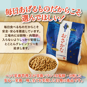 【定期便 6回】犬用ペットフード ドライおさかな1kg (a60-001)
