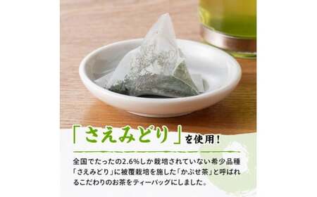 宮崎県産茶　かぶせ茶深蒸煎茶ティーバッグ2ｇ×20P 10袋セット 【 宮崎県産 川南町産 深蒸煎茶 かぶせ茶  お茶 おうち時間 】