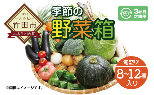 
竹田市産！季節の『野菜箱』3ヶ月定期便【1箱あたり:8~12種】
